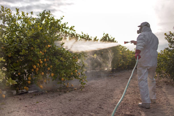 Best Best Pest Control Companies  in Sheboygan, WI
